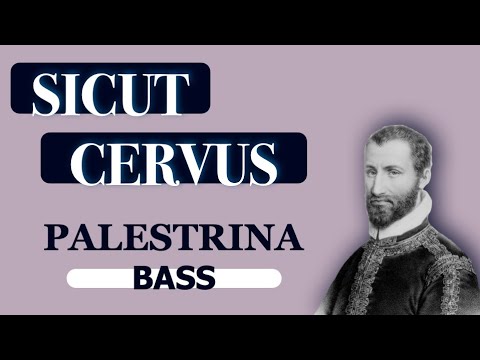 Bass Dominant - Sicut Cervus (Palestrina)