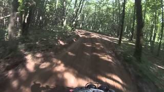 preview picture of video 'Baldwin Michigan Trail Riding Dales Wreak on his LT500'