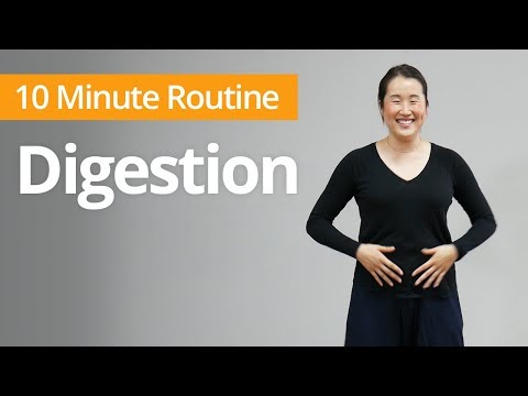 DIGESTIVE SUPPORT Exercises | 10 Minute Daily Routines