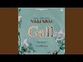 Nikki Nikki Gall