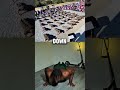 Recon Military Push Up Challenge ✅