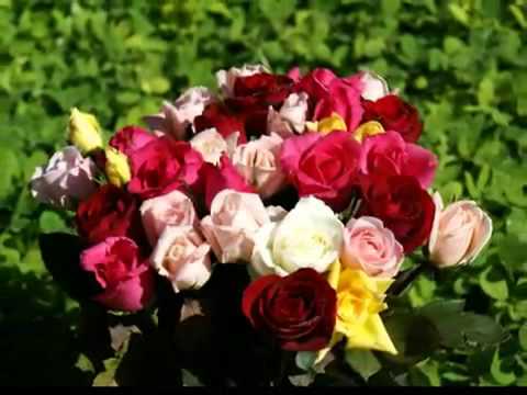 ami si crista  de ziua ta