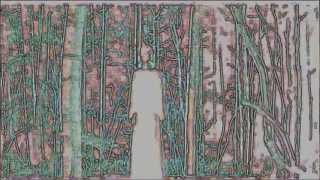 Devil House - Shonen Knife