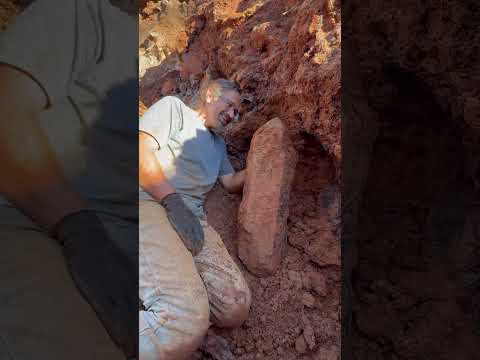 Found a MASSIVE Smoky Quartz Crystal in Arkansas!! #smokyquartz #mining