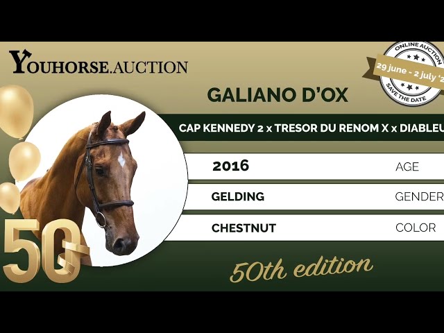Galiano D'ox showvideo