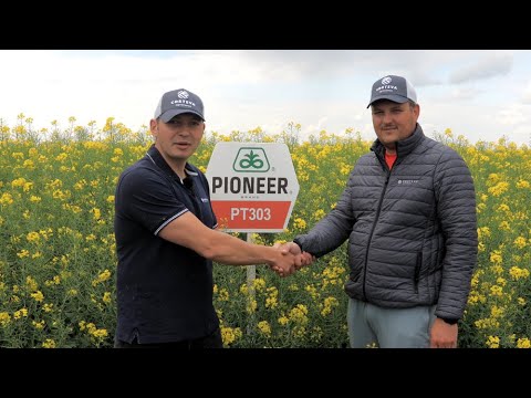 Testimonial Ing. Valentin Ionut Cojocea - TU AGRAR FARM despre hibridul de rapita PT303