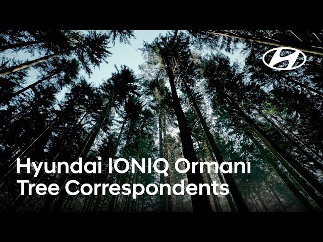 Hyundai IONIQ Ormanı | Ağaçların Sesi