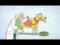 Martha Was An Average Dog 5