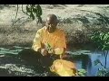 Disney S Chandar The Black Leopard Of Ceylon Part 1 Season 19 Ep 8