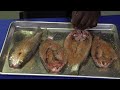 Bill Green S Mullet Fish