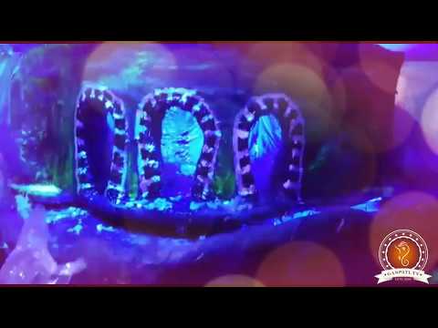 Anant Gholam Home Ganpati Decoration Video