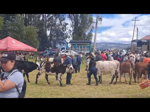 Aquiteven : 9.151 ÍZA BOYACÁ HABLA  EL REPRESENTANTE DEL PUEBLO CAMPESINO,  EL PRESIDENTE CONCEJO 