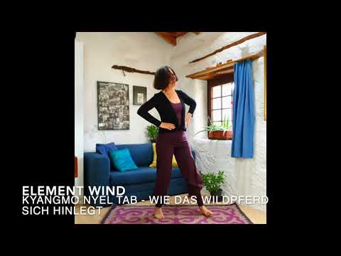 Lu Jong - tibetisches Heil Yoga: Fünf Elemente Übungen für eine gesunde Wirbelsäule