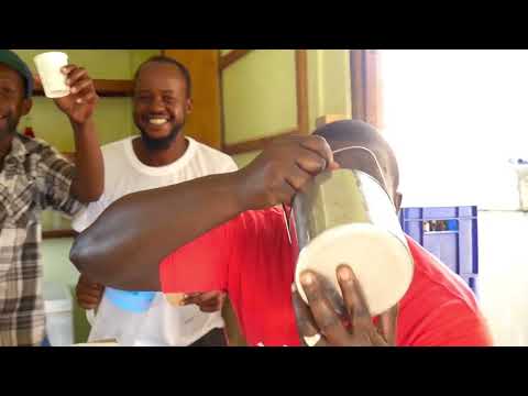 Tonio D Don, D'Regulars - Rum Bucket  [Official Video] (Devil Juice Riddim) Soca 2022