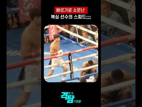 복싱 선수 주먹이 진짜 빠르긴 하구나 Ryan garcia ghost hook #boxing - 스포츠중계 …