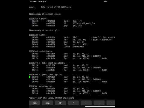 Using objdump to See Assembly Code