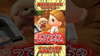 愛犬がどこまでもついてくるけど、、 #あつ森 #あつまれどうぶつの森 #shorts