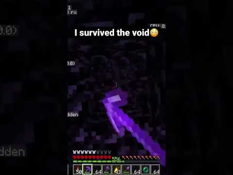 I Survived the Void in Hardcore...