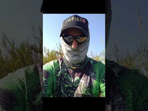 Rio Paranapanema - Porecatu-Pr #pescaria #fishing #pesca #shortviral #shorts