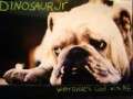 dinosaur jr "sideways"