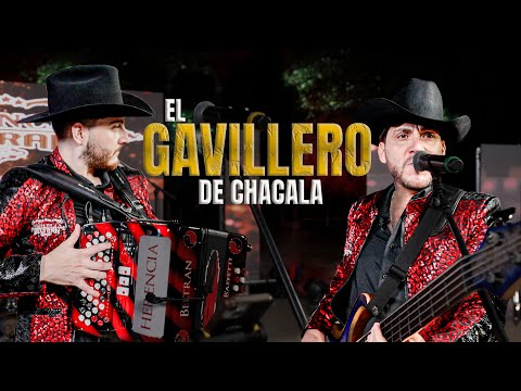 HERENCIA BELTRAN - EL GAVILLERO DE CHACALA (INEDITA) - EN VIVO