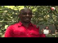 Mkulima Episode 83 Miti Ya Dawa Botany