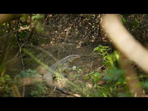 Villa de Soto - Spot Institucional de Turismo - Gobierno de Villa de Soto.