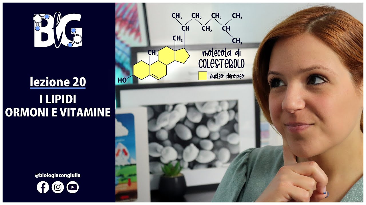 I LIPIDI - ormoni e vitamine