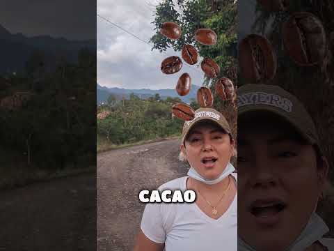 El Carmen de Chucurí: un tesoro natural de Santander #colombia #naturaleza #parati #fyp  #santander