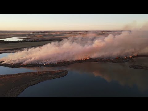 INDIOS DE AHORA - ARDE (Official Video)