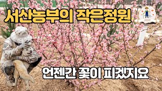 서산농부의 작은정원에도 언젠간 꽃이 피겠지요 