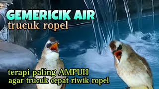 Download lagu TERAPI GEMERICIK AIR DAN SUARA TRUCUK ROPEL paling ampuh agar trucuk cepat bunyi riwik ropel mp3