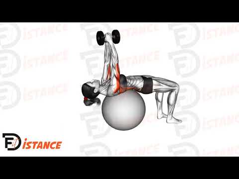 Exercice Pullover avec haltère sur ballon (Swiss Ball)