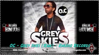 OC G - Grey Skies (Raw) April 2014