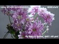 [Eng Sub] CLAZZIQUAI PROJECT - Call Me Back ...