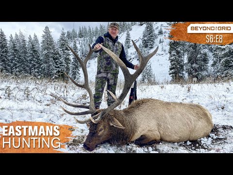 Giant Bulls on Public Land! Backcountry Elk Hunt with Guy Eastman