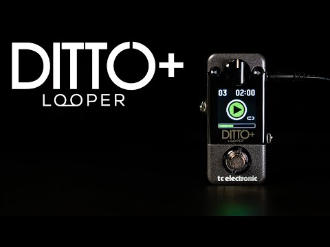 tc electronic Ditto Stereo Looper – Thomann Portuguesa