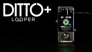 Ditto + Looper - Official Product Video