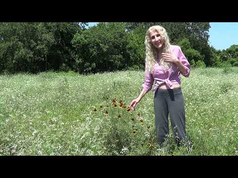 Mexican Hat to Achieve #Successmindset