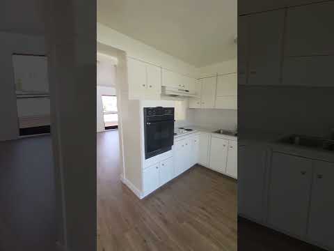 4850orch - Video 2 of 2