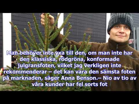 Så tar du hand om din julgran