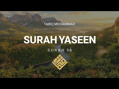 Surah Yaseen (36) | Peaceful Quran Recitation with English Translation | Soothing & Healing