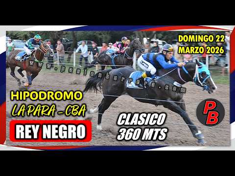REY NEGRO: HIPODROMO MUNICIPAL LA PARA - CORDOBA (22-03-2026)