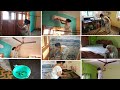 Indian Housewife Home Cleaning Vlog Bengali Daily Vlog Morning Vlog Video