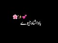 Bawa Shah Jeeve Kalam Black Screen WhatsApp Status Zxlyrics