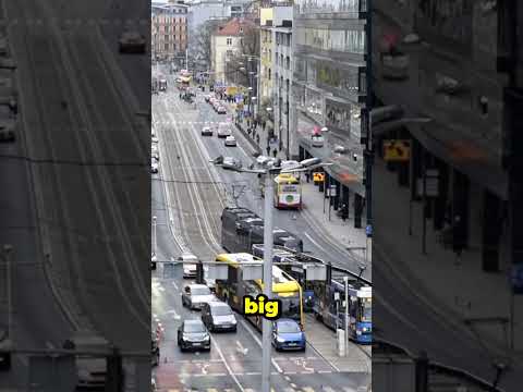 Why New York City Never Sleeps… 😮🗽