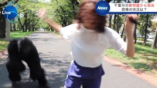 【放送事故】生中継で野生の〇〇に遭遇する女子アナ