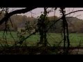 The Village (2004) - Trailer