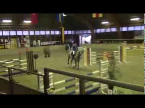 Sportpferde ASG - Horse Gym's Quel Filou SPR M**  Heidelberg 3-2014