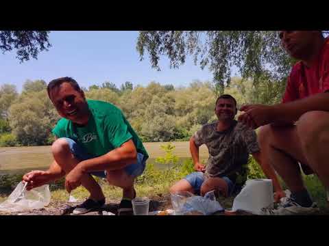 F.T.A. Team 2016 !!!